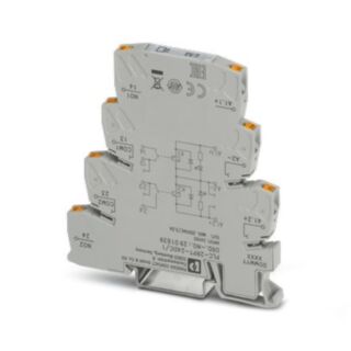 PLC-2RPT-24DC/1 - Relay Module