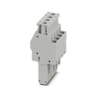UPBV 4/ 4 - Plug
