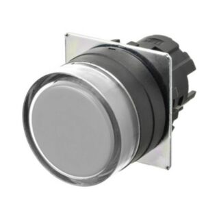Botoneira 22mm, Plástico, PROTEGIDO, MOMENTÂNEO, Opaco BRANCO