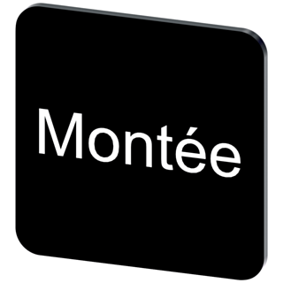 Labeling plate 22 x 22 mm, label black, labeling: Montee