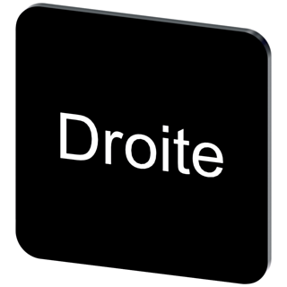 Labeling plate 22 x 22 mm, label black, labeling: DROITE