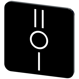 Labeling plate 22x22 mm, black label, icon: II* O I