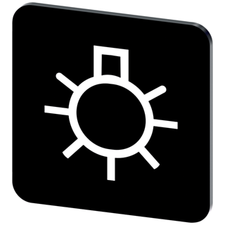 Labeling plate 22 x 22 mm, label black, labeling: Beleuchtung