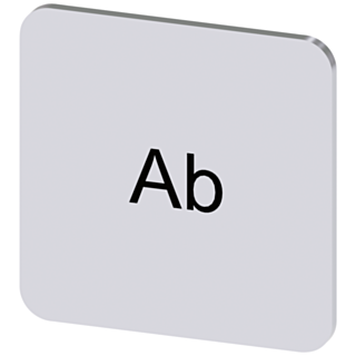 Labeling plate 22x22 mm, silver-colored label, labeling: Ab